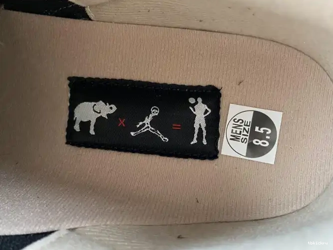 Rep TBK Elephant Jordan CT8532-008 Desert 3 Air 0524